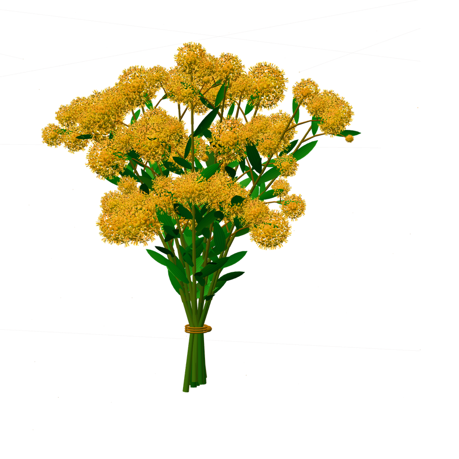 A whole hand-tied bouquet of golden wattle with dense symmetrical yellow pom-pom flower heads suspended in a dark field of distant light.